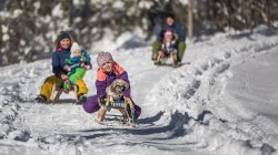 Alternativer Winterspaß